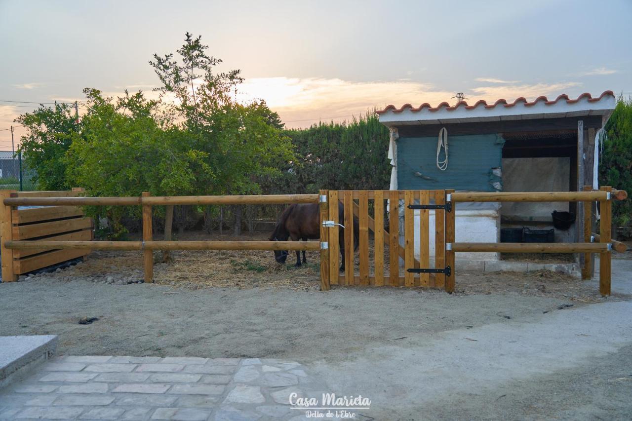 La Casa De Marieta "B" Villa Deltebre Kültér fotó